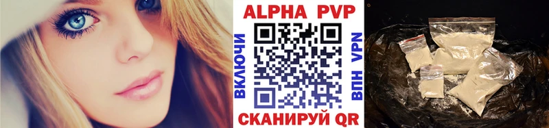 A PVP СК Инта