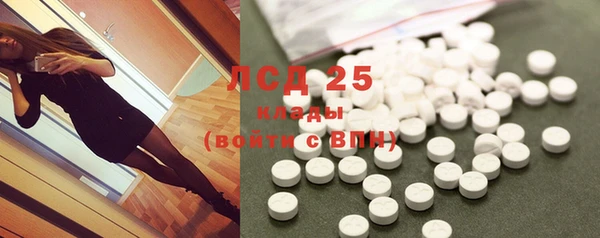 стафф Зеленокумск