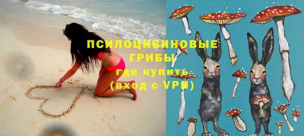 дмт Зерноград