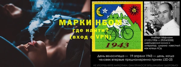 apvp Инсар