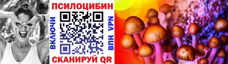 купить  сайты  Инта  Галлюциногенные грибы мухоморы 